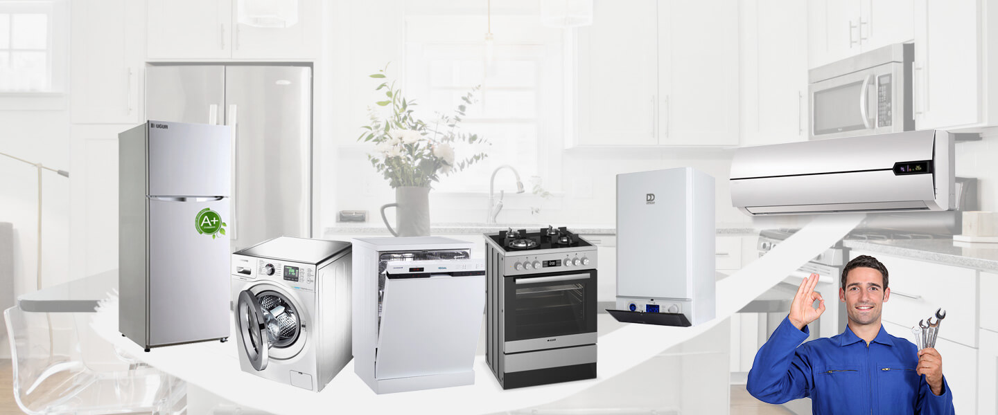 Buharkent Electrolux Servisi